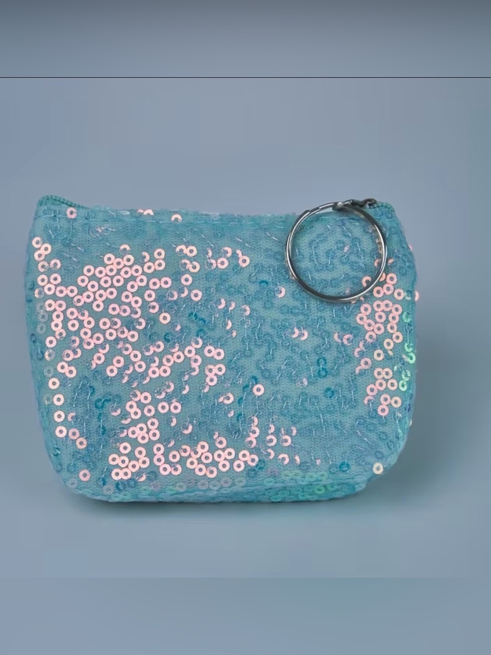 Sequin coin Pouch in Aqua Blue